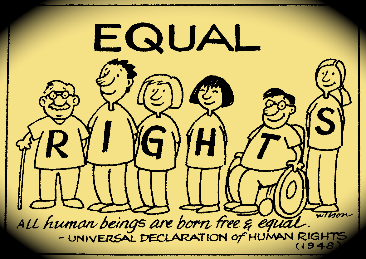 Ljudska prava 365*