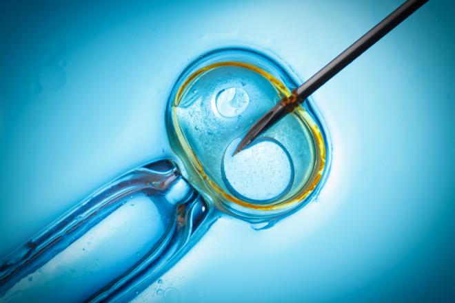Poljski parlament odobrio vladin prijedlog zakona koji regulira in vitro oplodnju