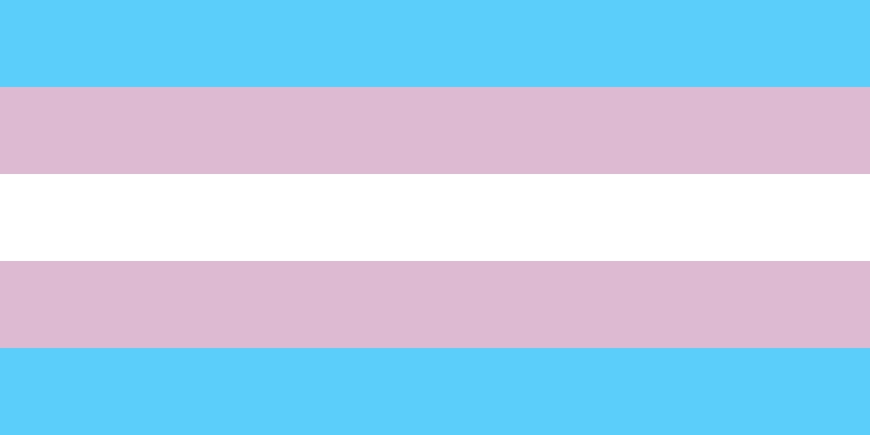 Meksiko progoni transrodne osobe zbog ‘nanošenja moralne štete’