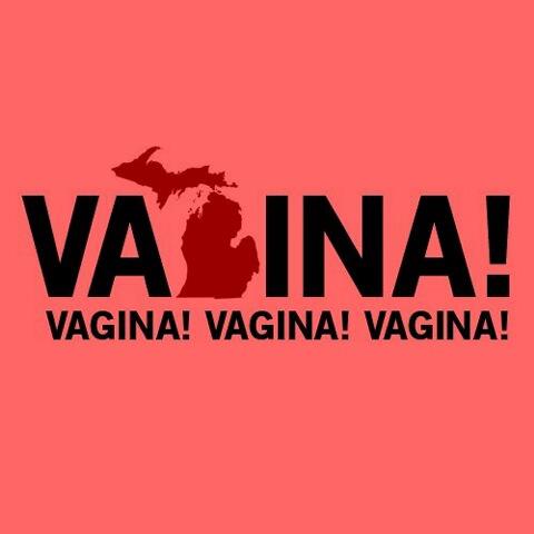 Profesorica u Michiganu dobila otkaz zbog izgovorene riječi ‘vagina’