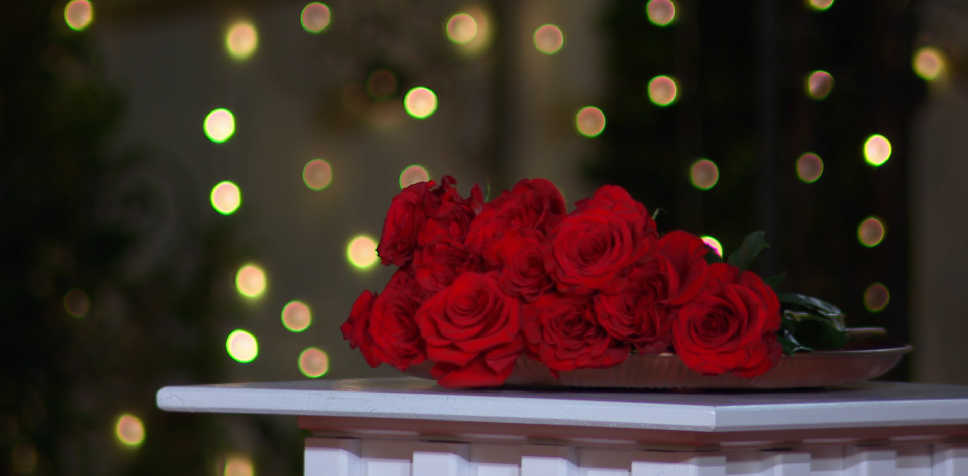 Ruže poredane za Ceremoniju ruža