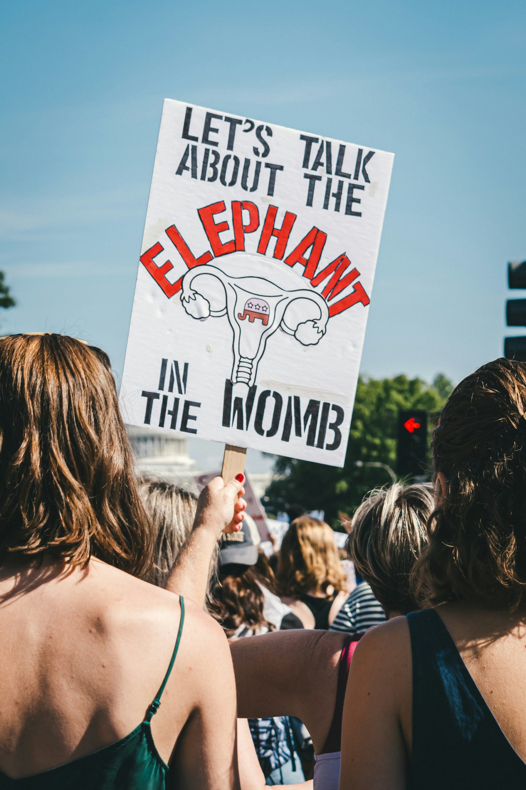 Slika pokazuje plakat s izrazom „let's talk about the elephant in the womb“
